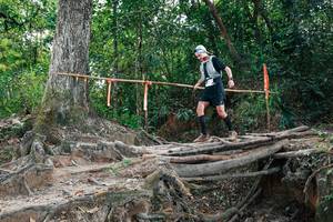 BIB: 
                            <button type="button" onclick="openModal(27803382)" class="btn btn-primary btn-sm float-right btn-popup" data-toggle="modal" data-target=".modal-high-quality">
                        <i class="fas fa-shopping-cart"></i> Add to Cart
                    </button>
                                            <button type="button" onclick="isThisMe(27803382, true)" class="btn btn-success btn-sm float-right btn-popup btn-isme hidden" data-toggle="tooltip" data-placement="bottom" title="นี่คือรูปของคุณใช่ไหม คลิกที่นี่เพื่อเอาเข้าอัลบั้ม">
                        <i class="fas fa-plus"></i> Add to album
                    </button>
                    <button type="button" onclick="isThisMe(27803382, false)" class="btn btn-warning btn-sm float-right btn-popup btn-isnotme hidden">
                        <i class="fas fa-ban"></i> Remove from album
                    </button>